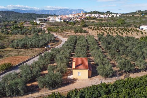 Landejendom i Freginals, Tarragona, Freginals - € 83.000 | Ref: 81 - foto 2