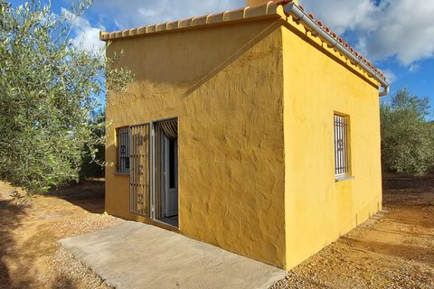 Landejendom i Freginals, Tarragona, Freginals - € 83.000 | Ref: 81 - foto 12