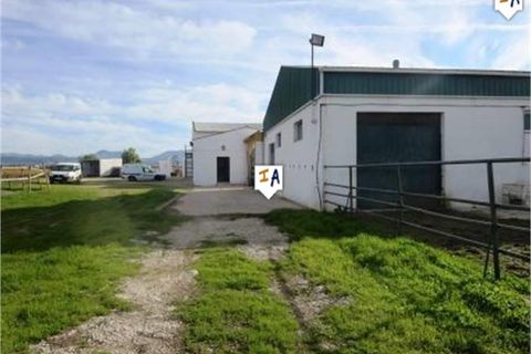 Cortijo i Mollina, Malaga, Mollina - € 1.650.000 | Ref: CJ465 - foto 3