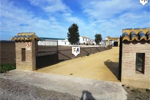 Cortijo i Mollina, Malaga, Mollina - € 1.650.000 | Ref: CJ465 - foto 7