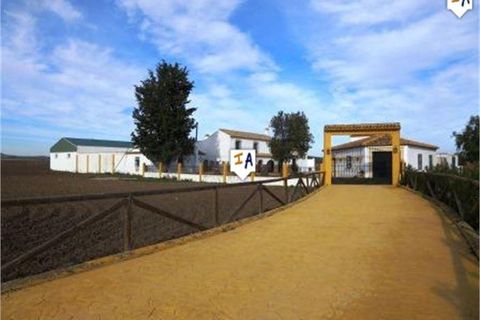 Cortijo i Mollina, Malaga, Mollina - € 1.650.000 | Ref: CJ465 - foto 8