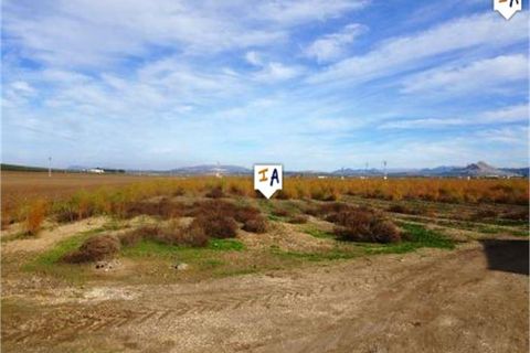 Cortijo i Mollina, Malaga, Mollina - € 1.650.000 | Ref: CJ465 - foto 10
