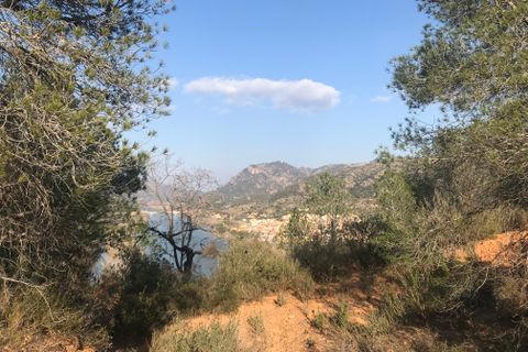 Finca i Benifallet, Tarragona, Benifallet - € 16.000 | Ref: Bv - foto 5