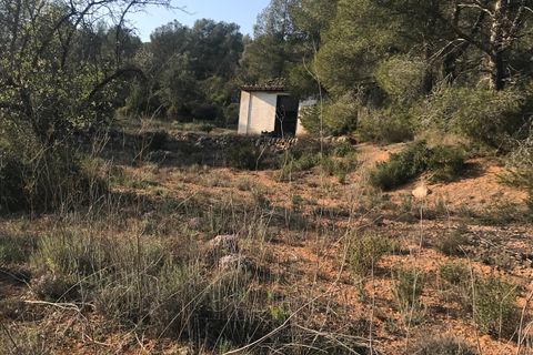 Finca i Benifallet, Tarragona, Benifallet - € 16.000 | Ref: Bv - foto 6