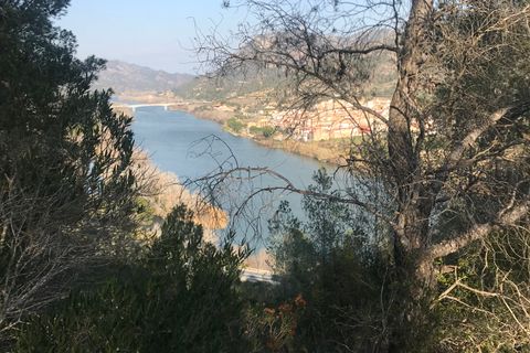Finca i Benifallet, Tarragona, Benifallet - € 16.000 | Ref: Bv - foto 2