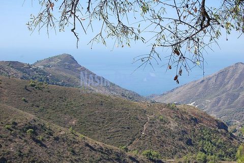 Helårsgrund i Nerja, Malaga, Nerja - € 850.000 | Ref: MG333 - foto 1
