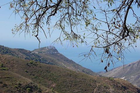 Helårsgrund i Nerja, Malaga, Nerja - € 850.000 | Ref: MG333 - foto 11