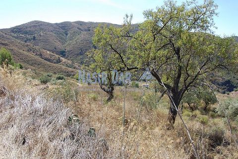 Helårsgrund i Nerja, Malaga, Nerja - € 850.000 | Ref: MG333 - foto 12