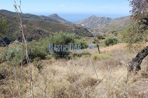 Helårsgrund i Nerja, Malaga, Nerja - € 850.000 | Ref: MG333 - foto 14