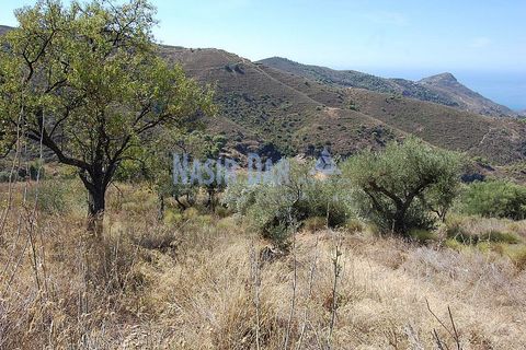 Helårsgrund i Nerja, Malaga, Nerja - € 850.000 | Ref: MG333 - foto 19