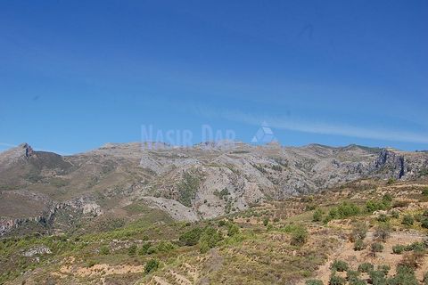 Helårsgrund i Nerja, Malaga, Nerja - € 850.000 | Ref: MG333 - foto 23