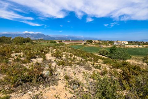 Finca i Tortosa, Tarragona, Tortosa - € 220.000 | Ref: 200 - foto 6