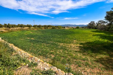 Finca i Tortosa, Tarragona, Tortosa - € 220.000 | Ref: 200 - foto 9