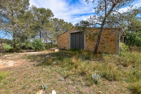 Finca i Tortosa, Tarragona, Tortosa - € 220.000 | Ref: 200 - foto 4