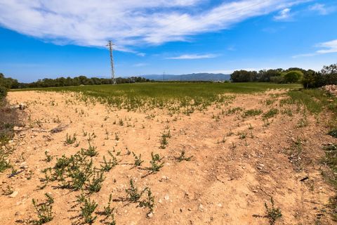 Finca i Tortosa, Tarragona, Tortosa - € 220.000 | Ref: 200 - foto 5