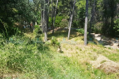 Helårsgrund i Agullent, Valencia, Agullent - € 69.000 | Ref: Green Hills - foto 5