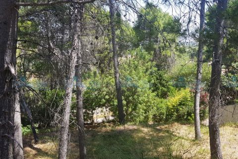 Helårsgrund i Agullent, Valencia, Agullent - € 69.000 | Ref: Green Hills - foto 7