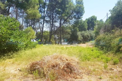 Helårsgrund i Agullent, Valencia, Agullent - € 69.000 | Ref: Green Hills - foto 8
