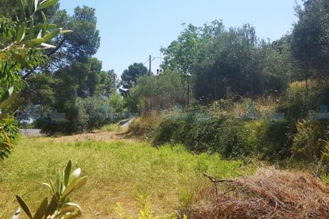 Helårsgrund i Agullent, Valencia, Agullent - € 69.000 | Ref: Green Hills - foto 9