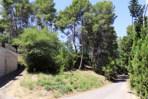 Helårsgrund i Agullent, Valencia, Agullent - € 69.000 | Ref: Green Hills - foto 10