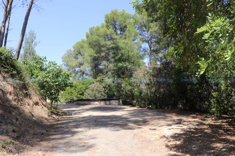 Helårsgrund i Agullent, Valencia, Agullent - € 69.000 | Ref: Green Hills - foto 11