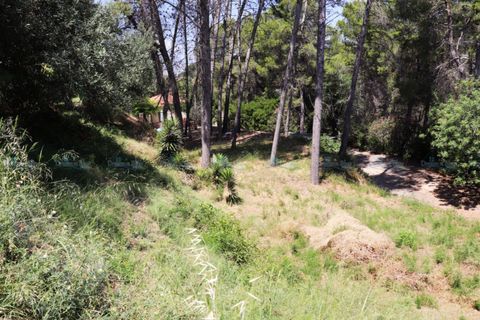 Helårsgrund i Agullent, Valencia, Agullent - € 69.000 | Ref: Green Hills - foto 12