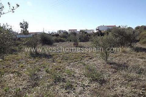 Helårsgrund i Huercal-Overa, Almeria, Huercal-Overa - € 16.000 | Ref: VH304 - foto 2