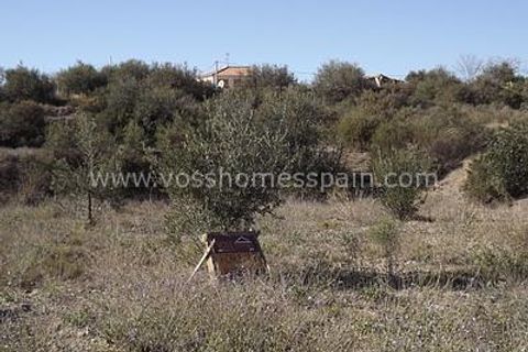 Helårsgrund i Huercal-Overa, Almeria, Huercal-Overa - € 16.000 | Ref: VH304 - foto 4