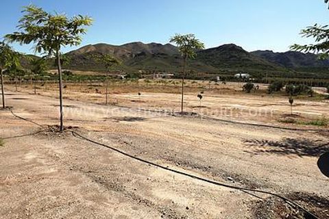 Landejendom i Huercal-Overa, Almeria, Huercal-Overa - € 950.000 | Ref: VH1194 - foto 10