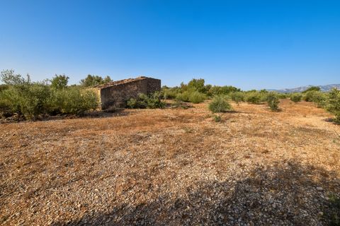 Finca i Santa Barbara, Tarragona, Santa Barbara - € 20.000 | Ref: 242 - foto 4