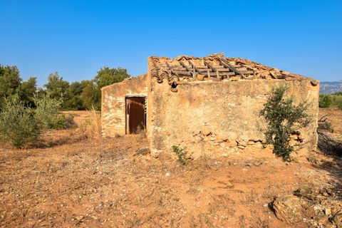 Finca i Santa Barbara, Tarragona, Santa Barbara - € 20.000 | Ref: 242 - foto 2