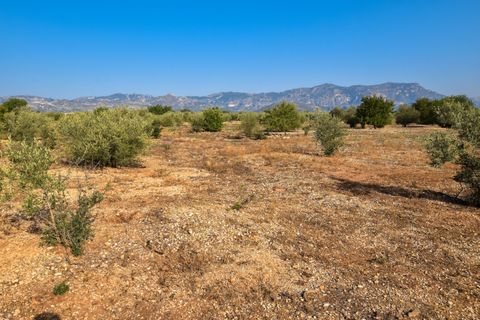 Finca i Santa Barbara, Tarragona, Santa Barbara - € 20.000 | Ref: 242 - foto 7