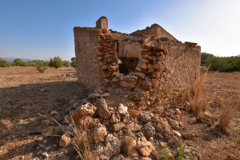 Finca i Santa Barbara, Tarragona, Santa Barbara - € 20.000 | Ref: 242 - foto 5