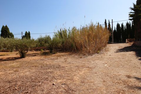 Terra a Javea, Alicante, Javea - € 569.000 | Ref: 894 - foto 7