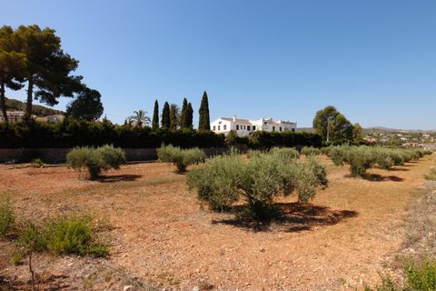 Terra a Javea, Alicante, Javea - € 569.000 | Ref: 894 - foto 9