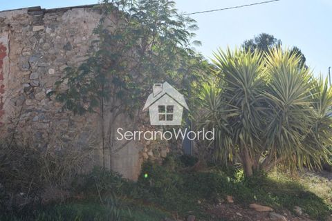 Cortijo i Cantoria, Almeria, Cantoria - € 75.000 | Ref: Morillas 3 - foto 6