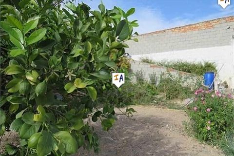 Tomt i Alcaudete, Jaen, Alcaudete - € 28 000 | Ref: PL225 - foto 2