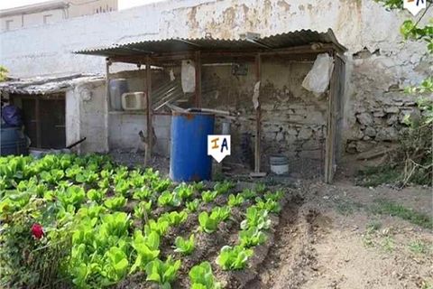 Tomt i Alcaudete, Jaen, Alcaudete - € 28 000 | Ref: PL225 - foto 3