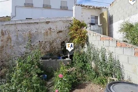 Tomt i Alcaudete, Jaen, Alcaudete - € 28 000 | Ref: PL225 - foto 4
