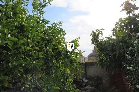 Tomt i Alcaudete, Jaen, Alcaudete - € 28 000 | Ref: PL225 - foto 7