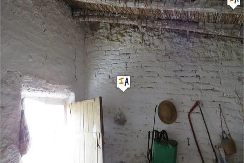 Tomt i Alcaudete, Jaen, Alcaudete - € 28 000 | Ref: PL225 - foto 10