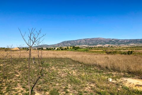 Landejendom i Ubeda, Alicante, Ubeda - € 108.000 | Ref: CF1568 - foto 41