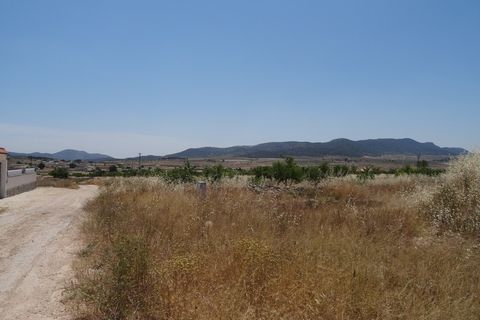 Farm hus i Pinoso, Alicante, Pinoso - € 129.000 | Ref: CF1404 - foto 36