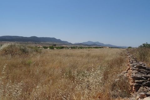 Farm hus i Pinoso, Alicante, Pinoso - € 129.000 | Ref: CF1404 - foto 38