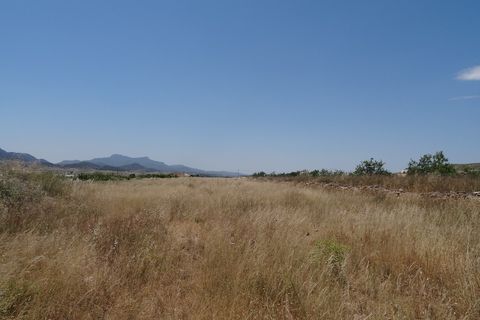 Farm hus i Pinoso, Alicante, Pinoso - € 129.000 | Ref: CF1404 - foto 39