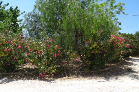 Farm hus i Pinoso, Alicante, Pinoso - € 129.000 | Ref: CF1404 - foto 41