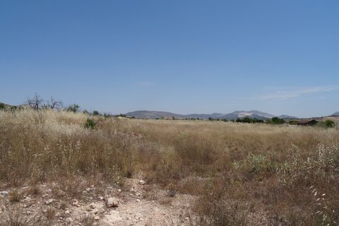 Farm hus i Pinoso, Alicante, Pinoso - € 129.000 | Ref: CF1404 - foto 42