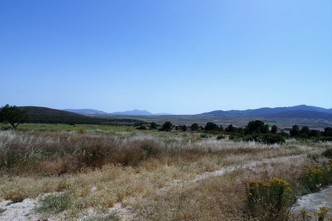 Farm hus i Raspay, Murcia, Raspay - € 900.000 | Ref: CF1403 - foto 8