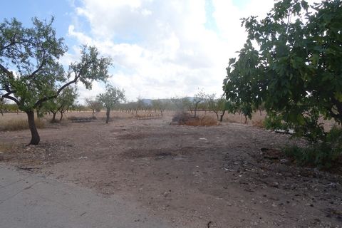 Landejendom i Yecla, Murcia, Yecla - € 40.000 | Ref: CF1238 - foto 13