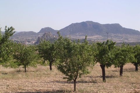 Landejendom i Sax, Alicante, Sax - € 520.000 | Ref: CF738 - foto 9